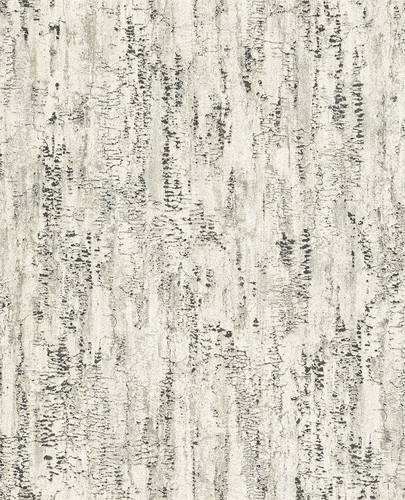 4096-554045 Colm Charcoal Birch Textured Wallpaper