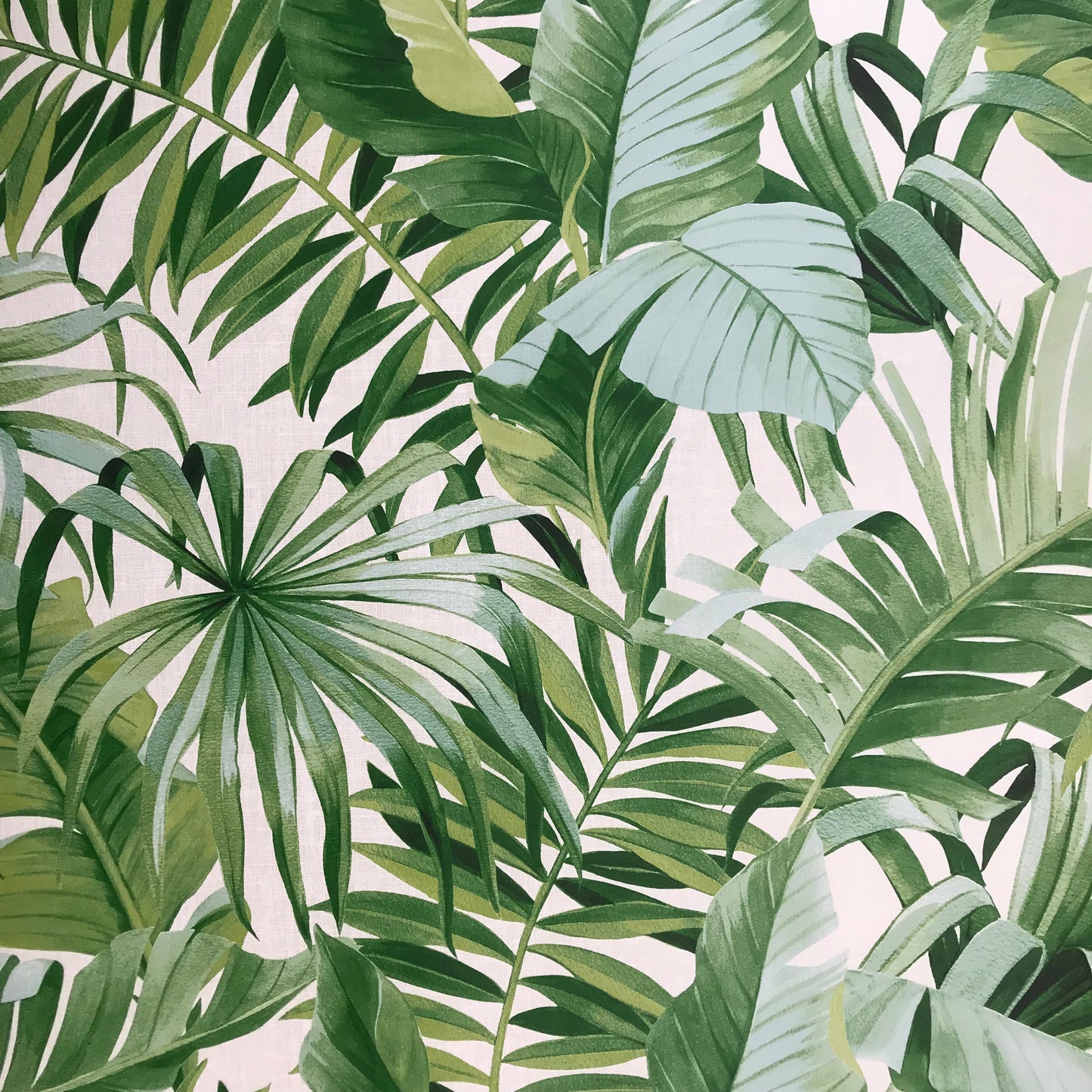 FD24136 Palm leaves Banana Leaf White Green Tropical Wallpaper