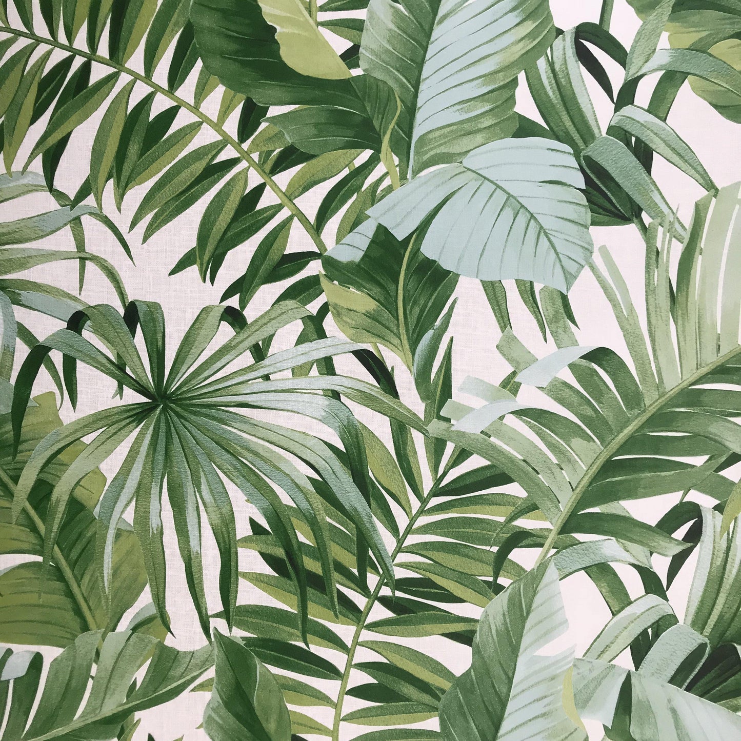 2744-24136 Brewster Palm leaves Banana Leaf White Green Tropical Wallpaper - wallcoveringsmart