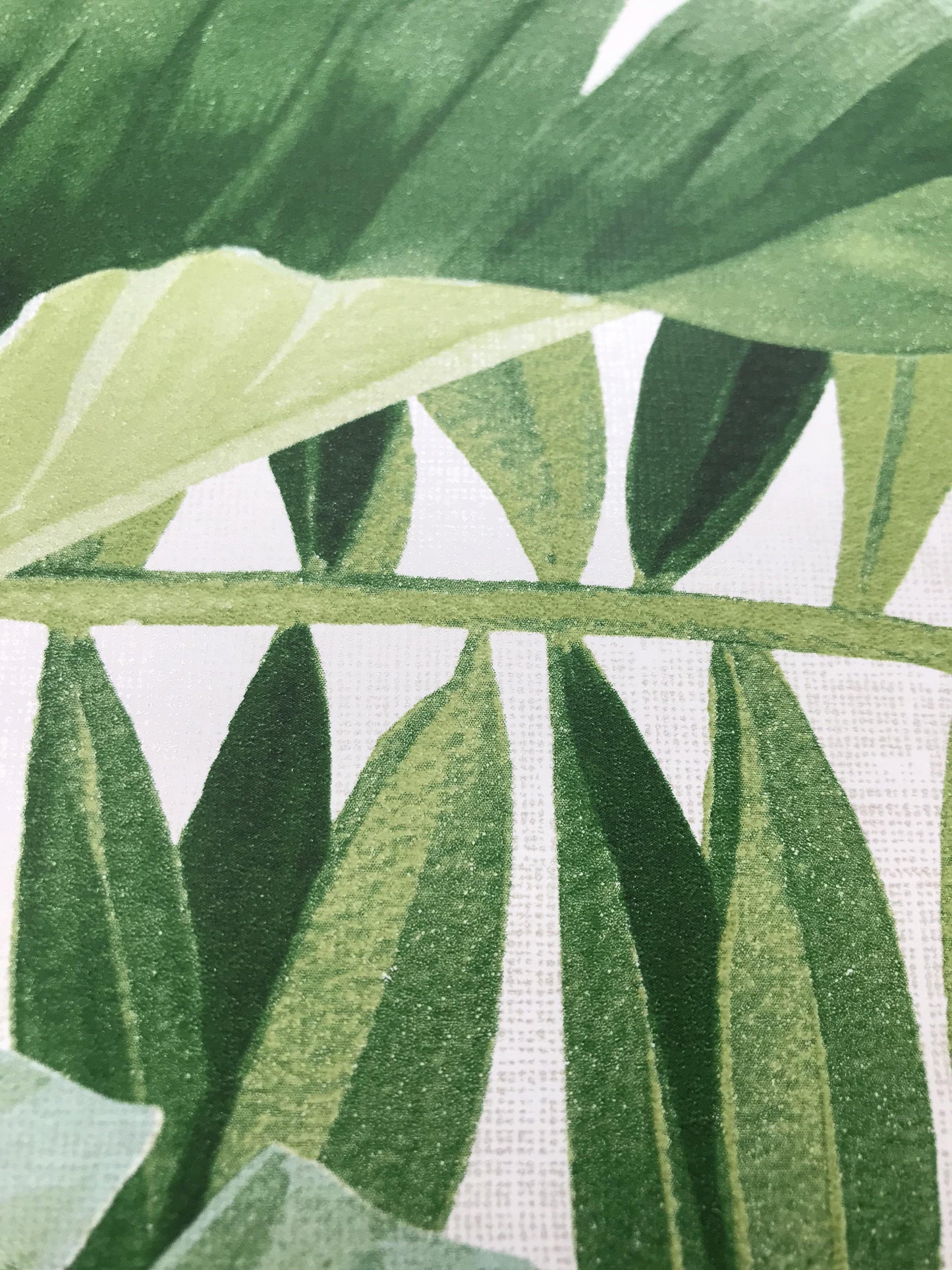 2744-24136 Brewster Palm leaves Banana Leaf White Green Tropical Wallpaper - wallcoveringsmart