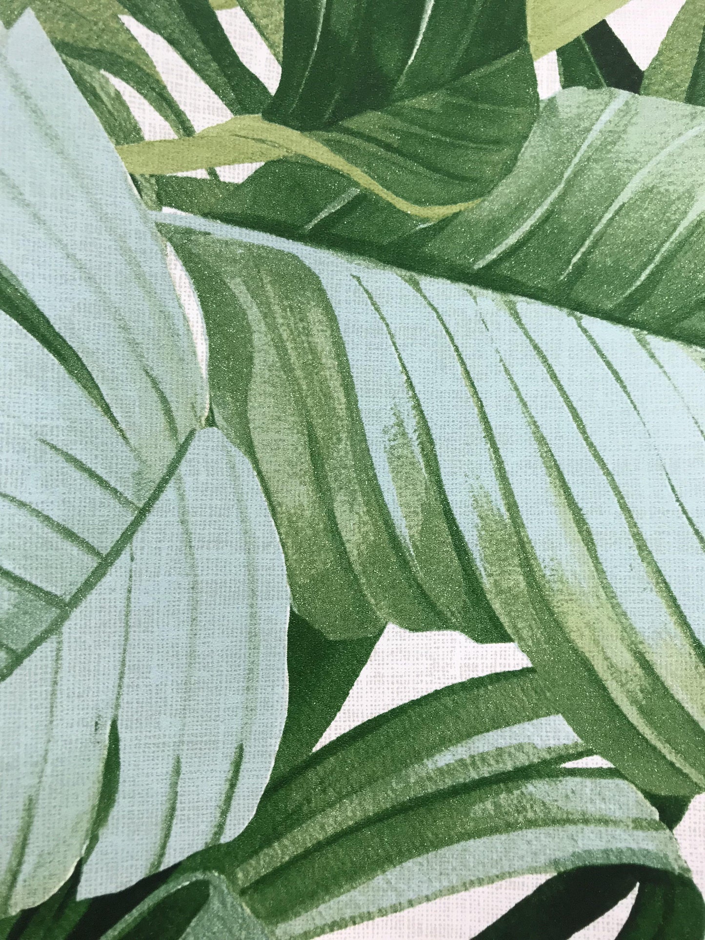 2744-24136 Brewster Palm leaves Banana Leaf White Green Tropical Wallpaper - wallcoveringsmart