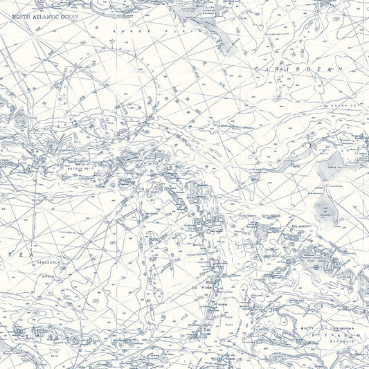 3120-16178 Charts Navy Map Wallpaper