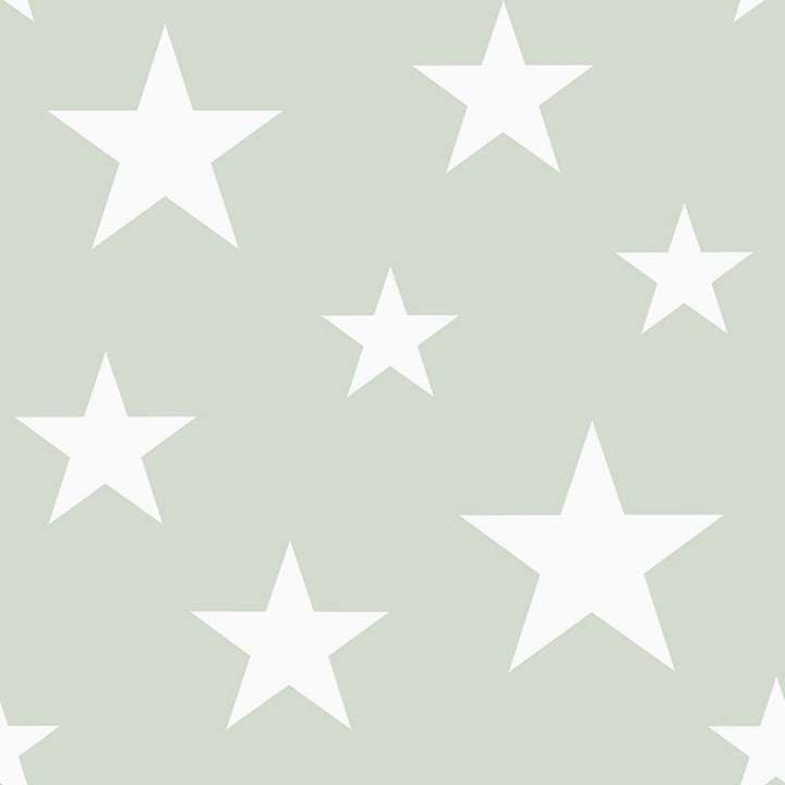 4060-128865 Amira Sage Stars Wallpaper