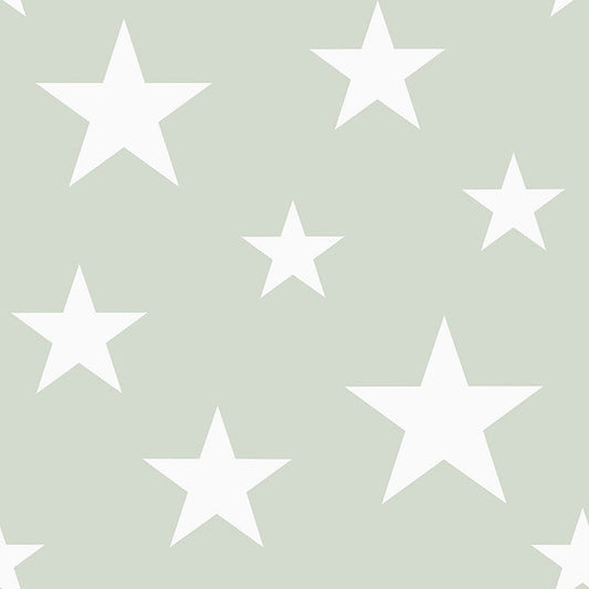 4060-128865 Amira Sage Stars Wallpaper