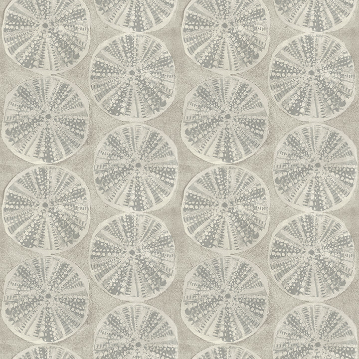 4071-71024 Sea Biscuit Grey Sand Dollar Wallpaper