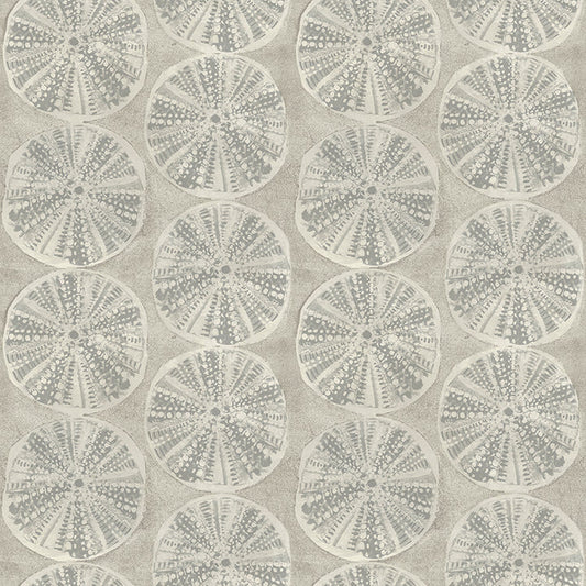 4071-71024 Sea Biscuit Grey Sand Dollar Wallpaper