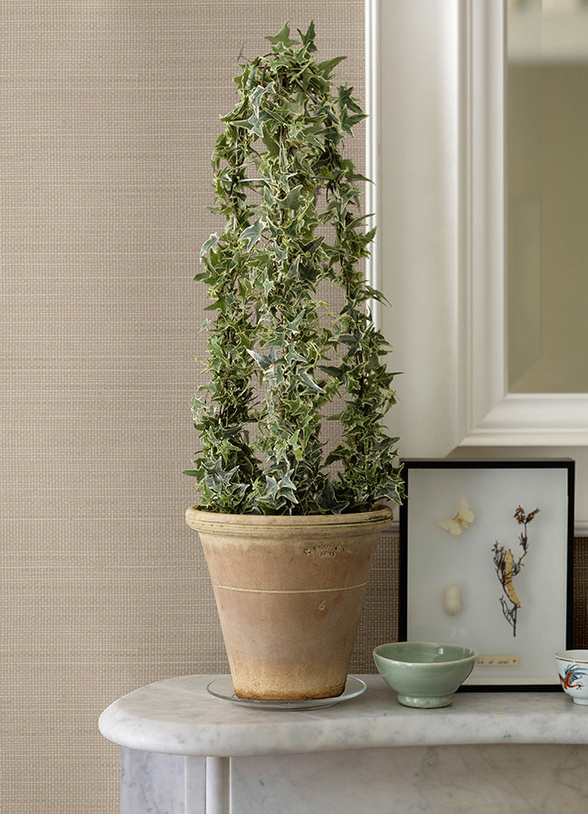 3125-71052 Spinnaker Peach Netting Wallpaper