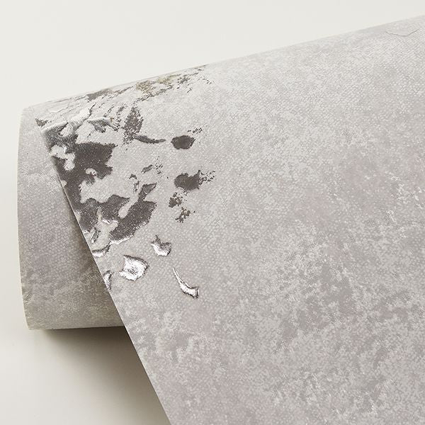 2904-00303 Misty Grey Distressed Dandelion Wallpaper