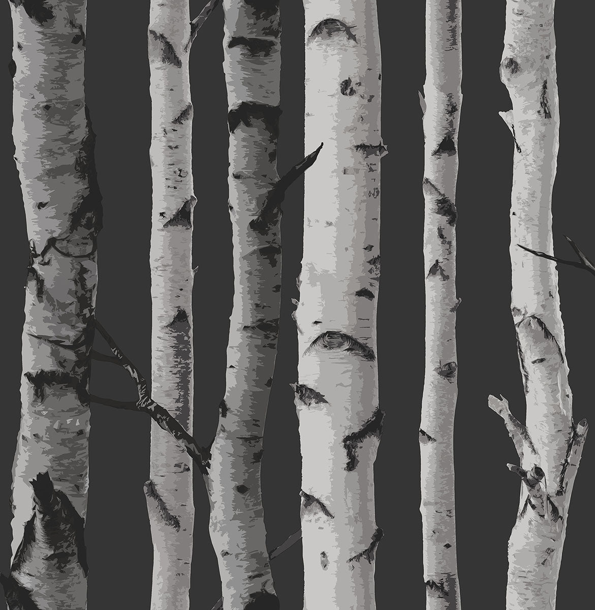 2900-31052 Brewster Distinctive Black Birch Tree Wallpaper