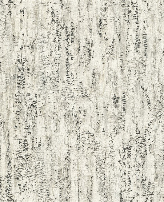 4096-554045 Colm Charcoal Birch Textured Wallpaper