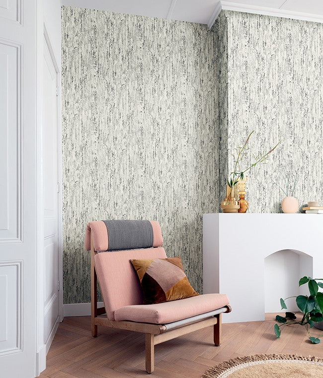 4096-554045 Colm Charcoal Birch Textured Wallpaper