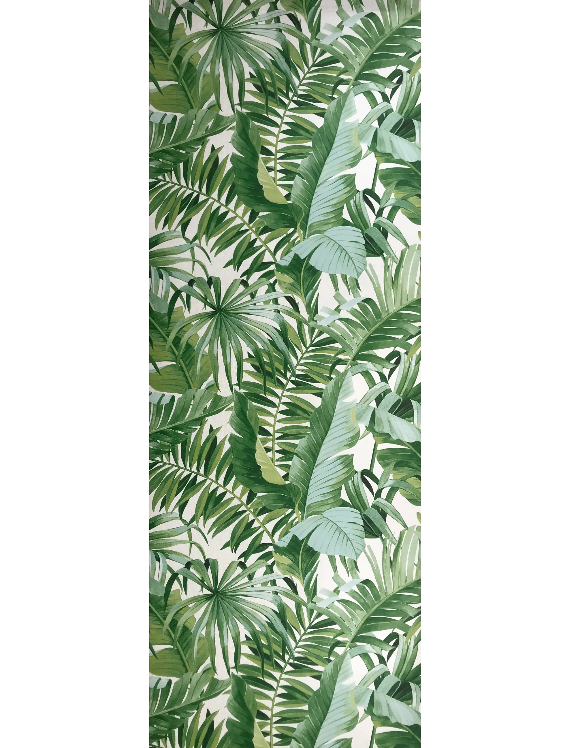 FD24136 Palm leaves Banana Leaf White Green Tropical Wallpaper