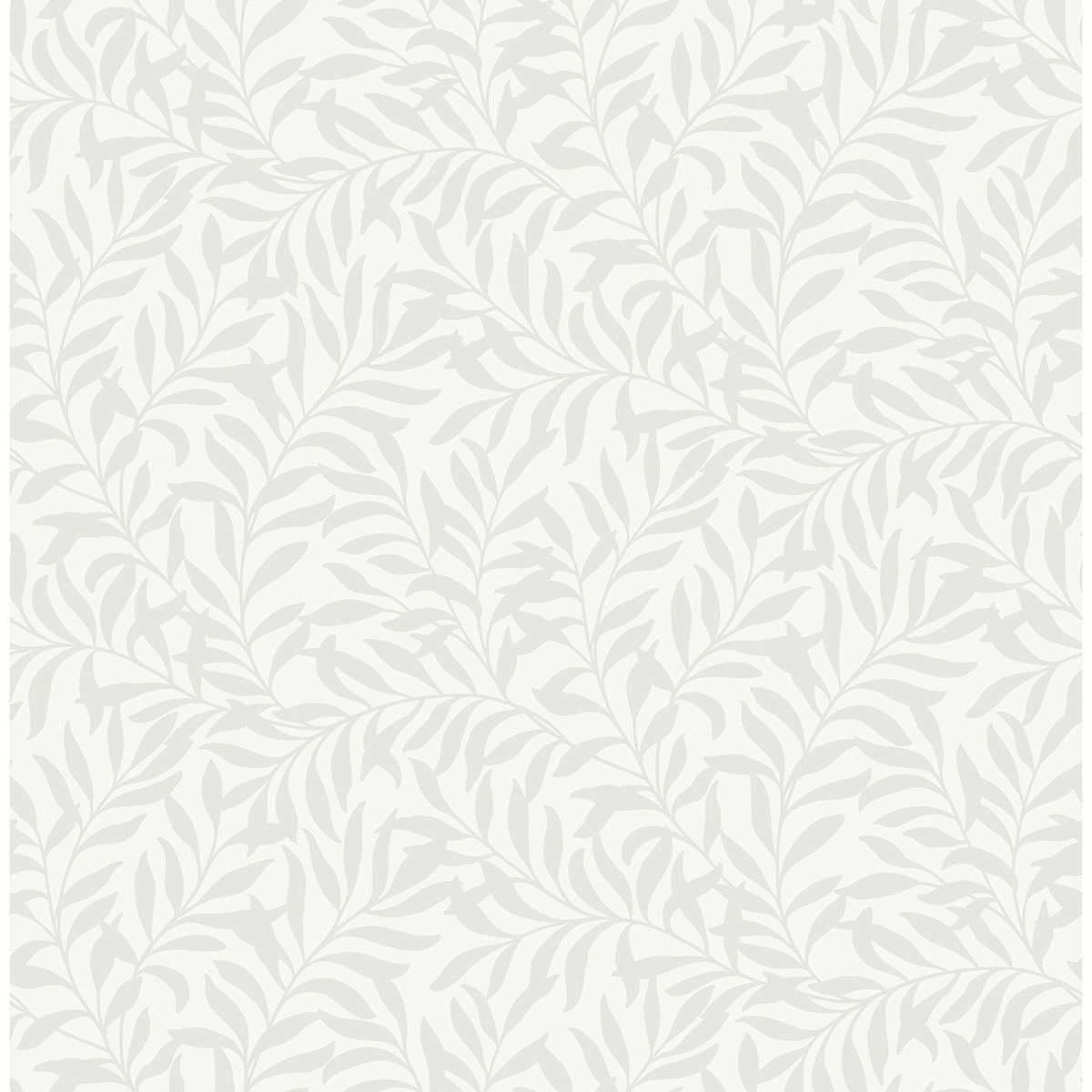 M1666 Salix Silver Leaf Wallpaper
