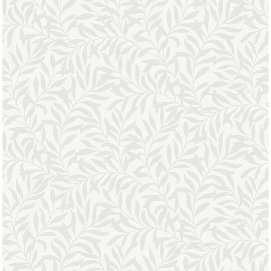 M1666 Salix Silver Leaf Wallpaper