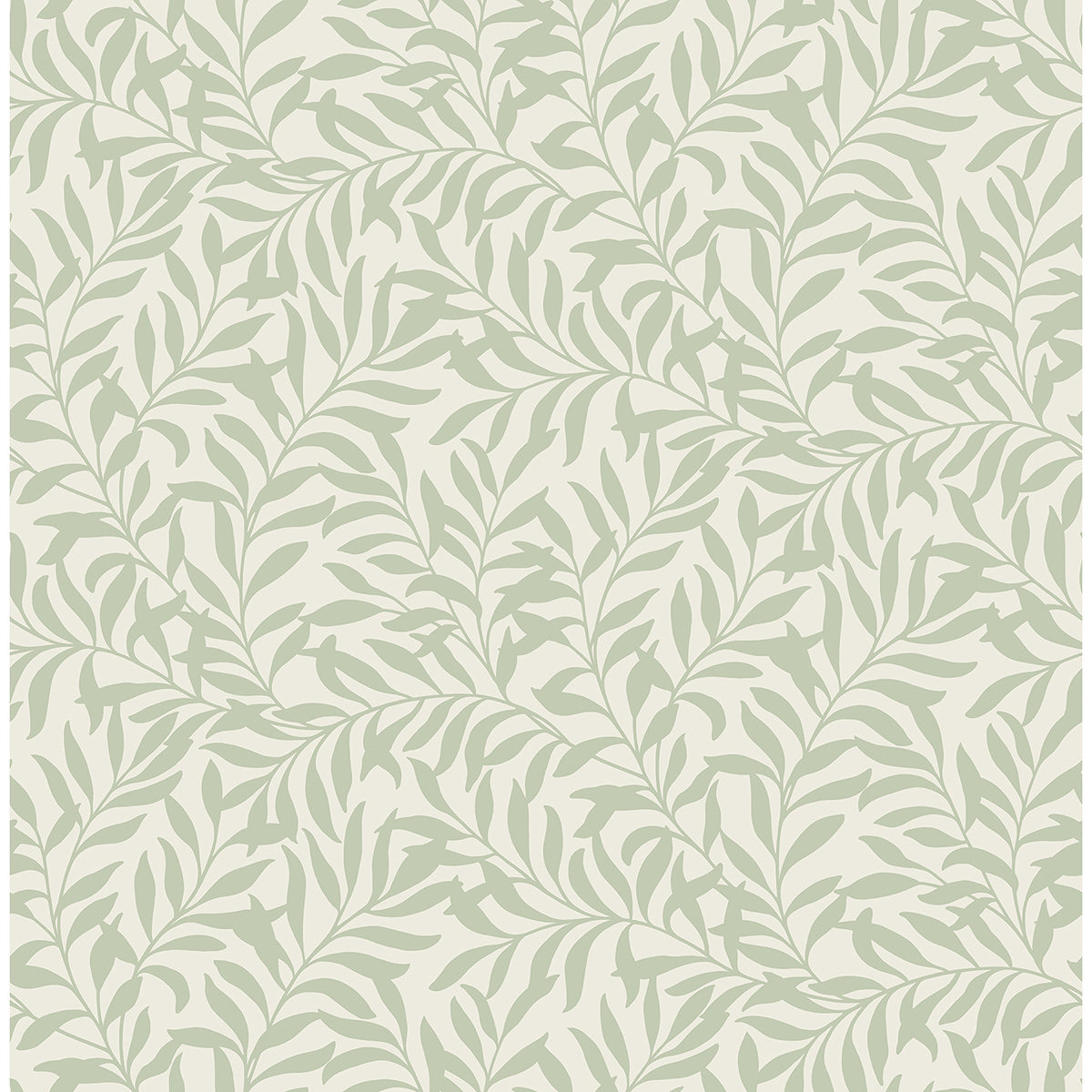 M1667 Salix Sage Leaf Wallpaper