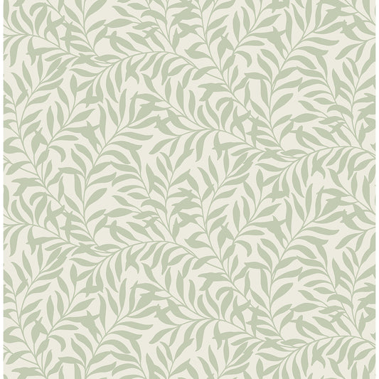 M1667 Salix Sage Leaf Wallpaper