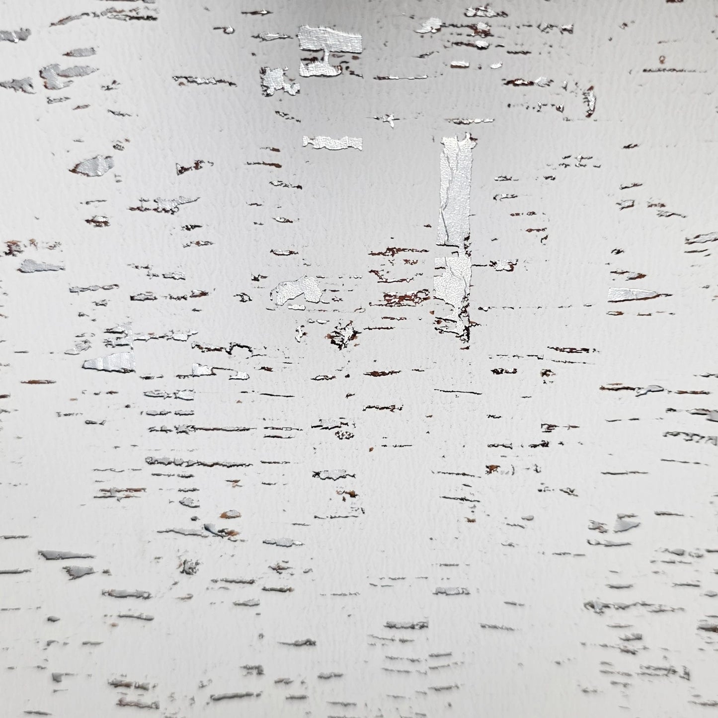 WM100001SMC Enhanced natural cork matte white silver metallic foil birch textured Wallpaper