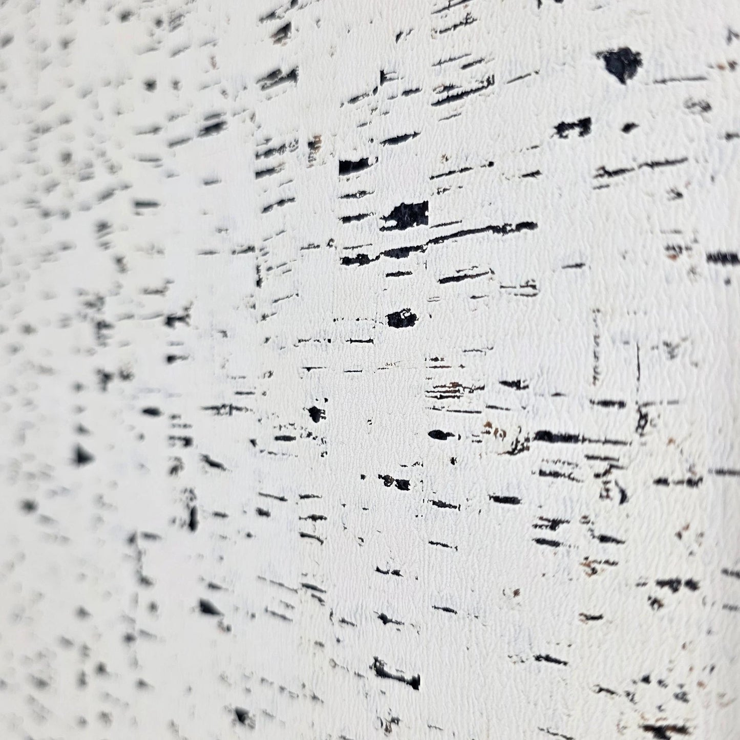 WM100100SMC Enchanced natural cork matte off white black birch textured eco modern Wallpaper