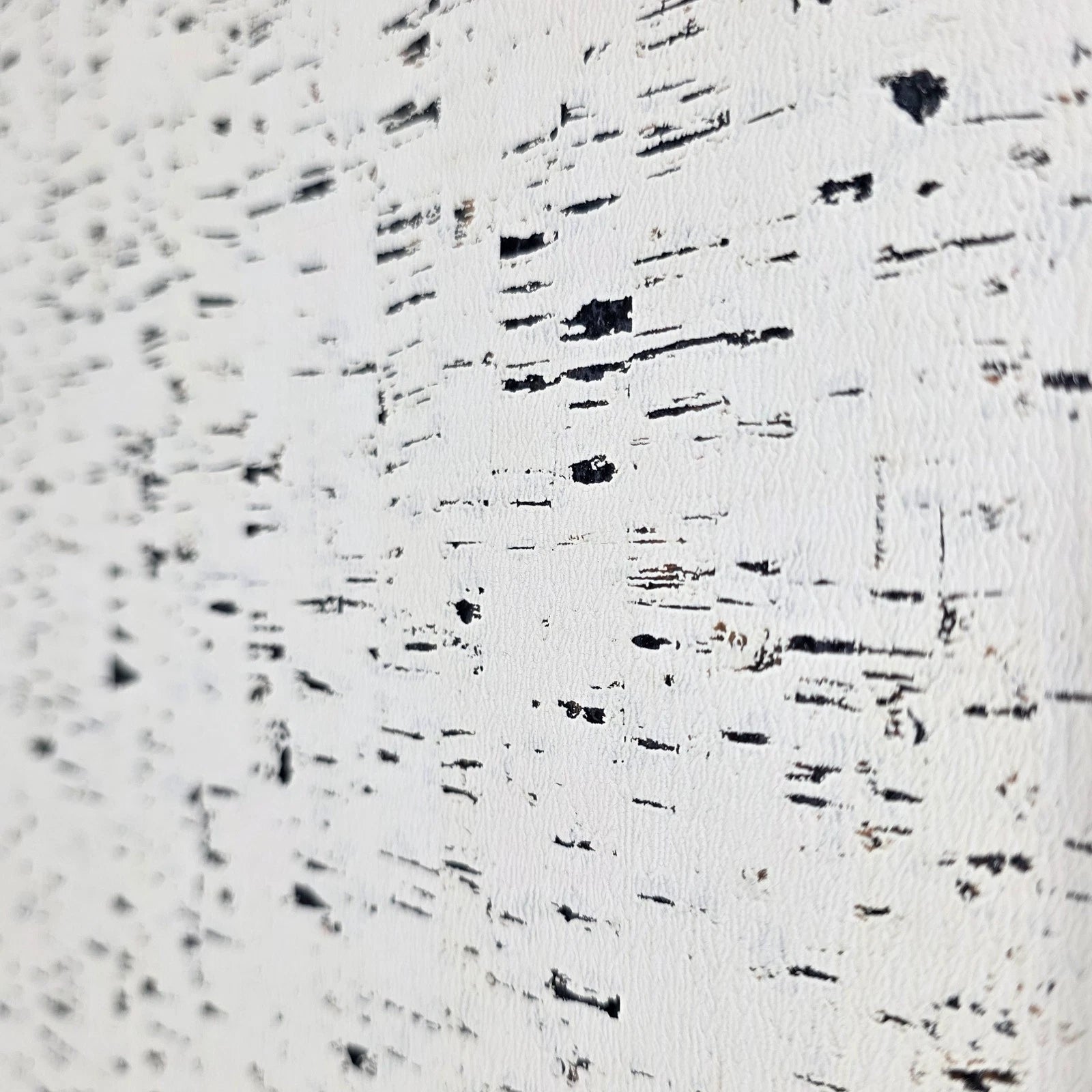 WM100100SMC Enchanced natural cork matte off white black birch textured eco modern Wallpaper