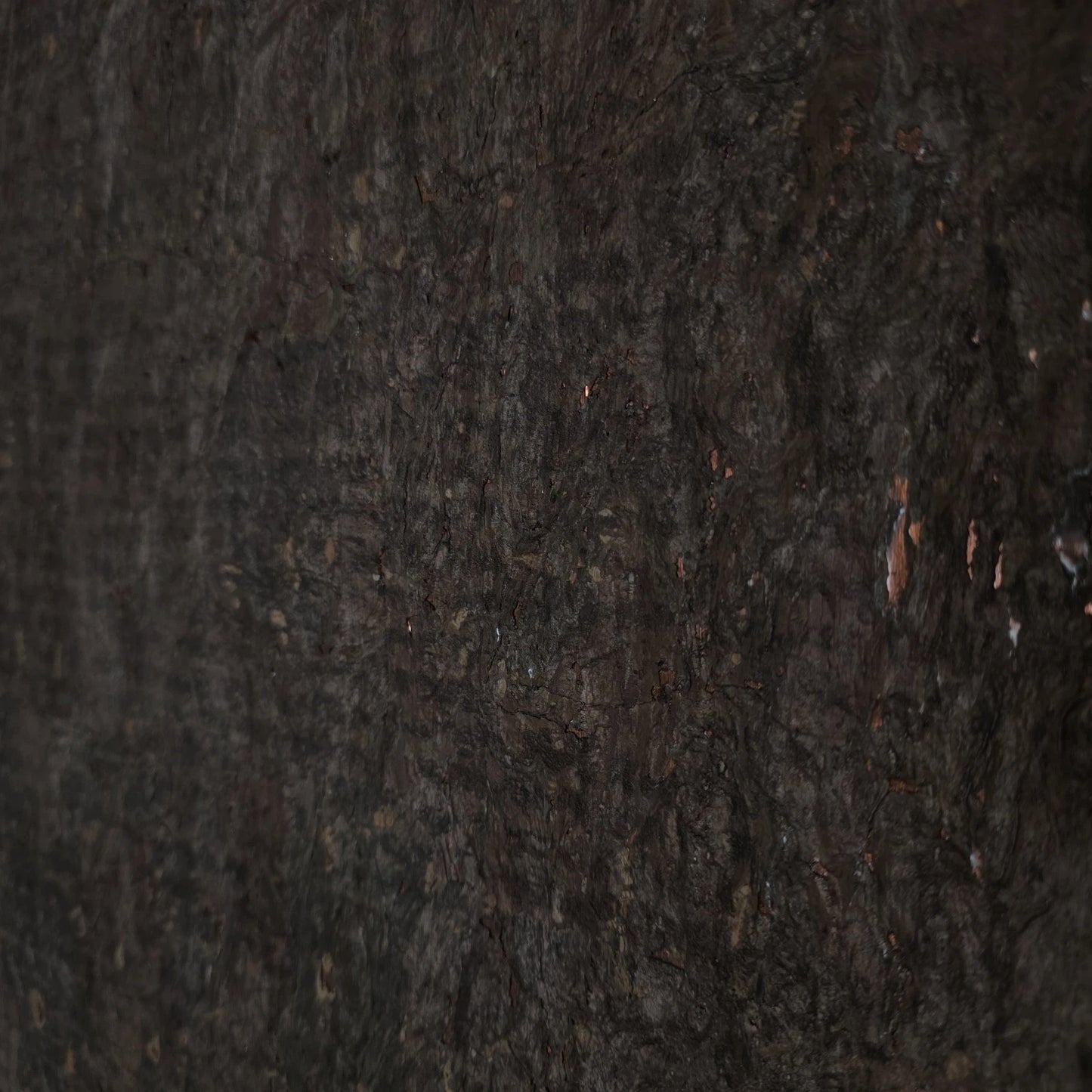 WM403KCC Real Natural cork organic dark brown copper metallic foil textured eco Wallpaper