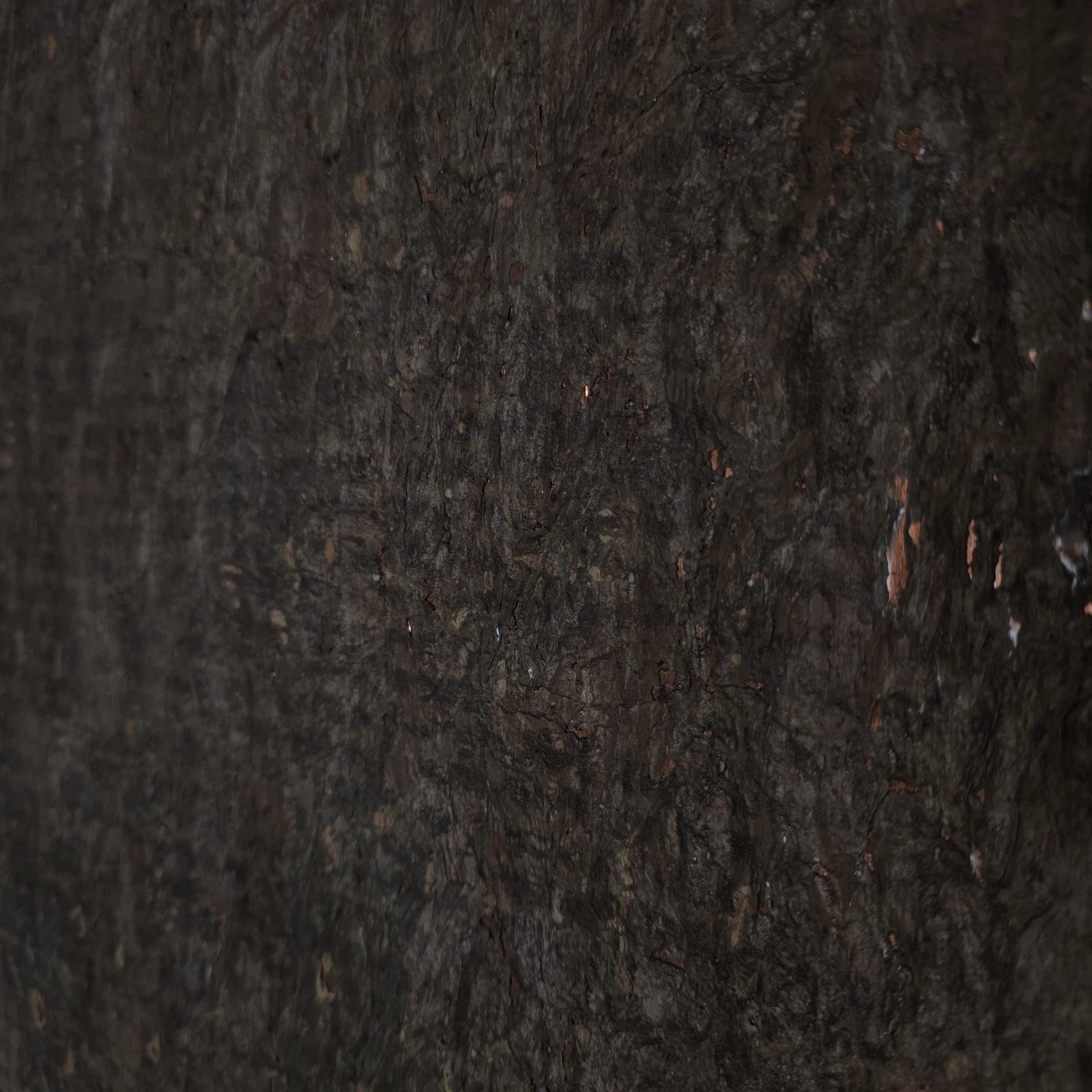 WM403KCC Real Natural cork organic dark brown copper metallic foil textured eco Wallpaper