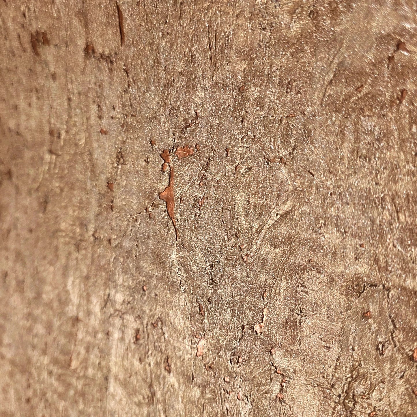 WM501KCC Real Natural cork warm rose gold copper metallic textured modern eco Wallpaper