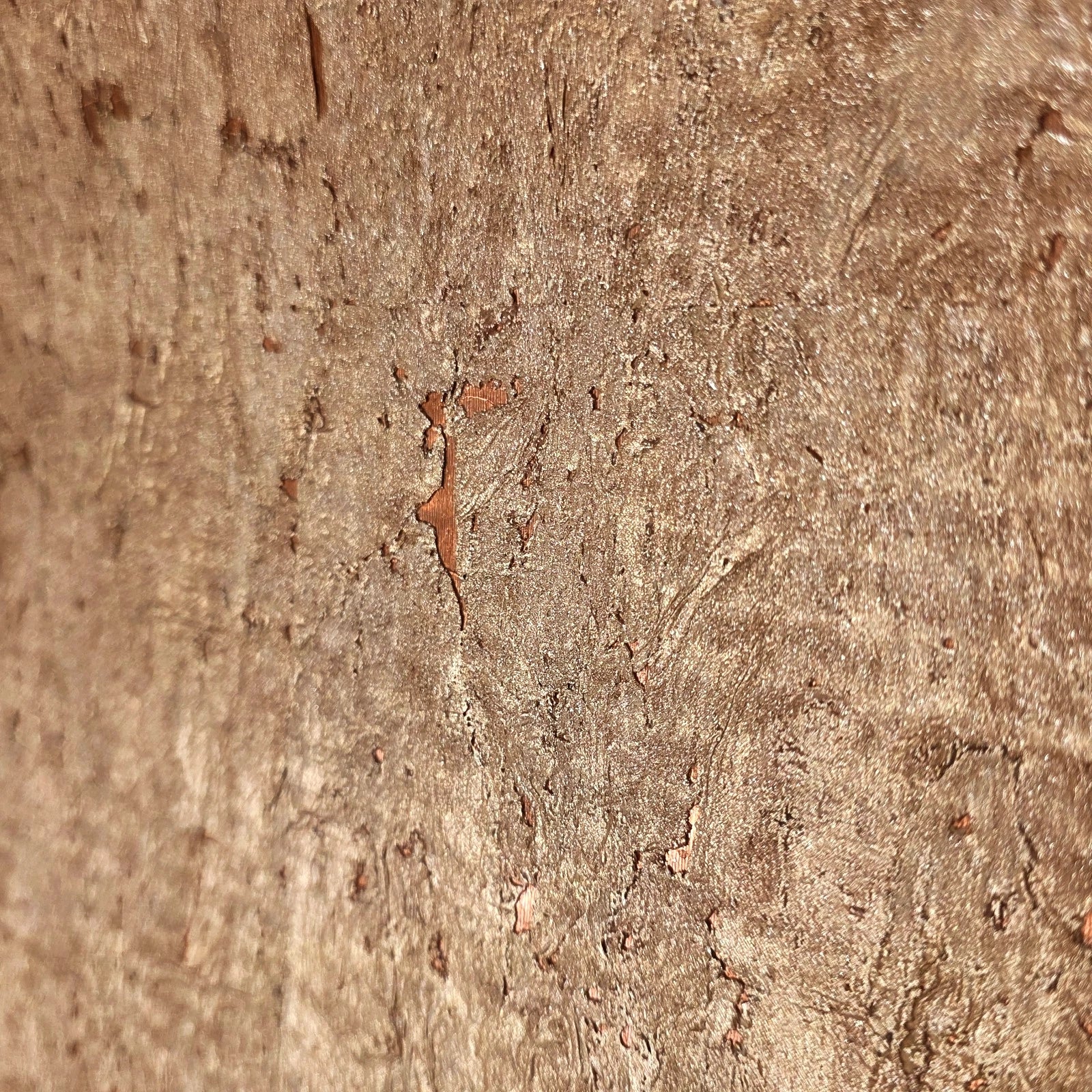 WM501KCC Real Natural cork warm rose gold copper metallic textured modern eco Wallpaper