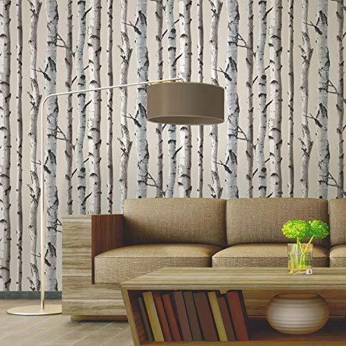 2532-20418 MODERN IRVIN GREY BIRCH TREE Wallpaper